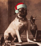 Great Uncle John Christmas Card